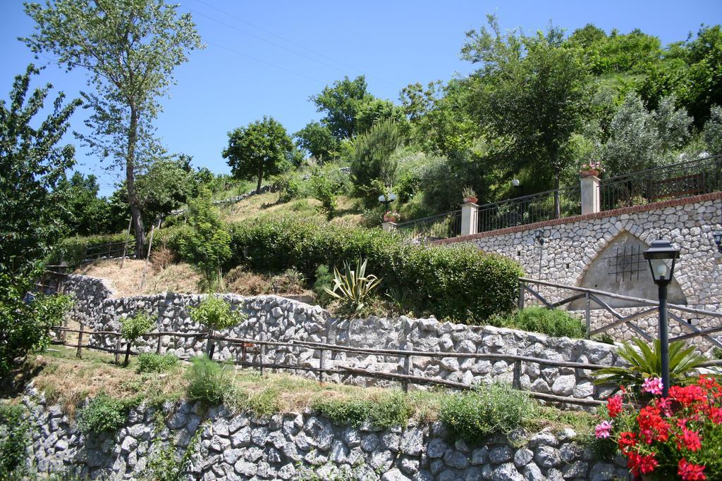 Agriturismo La Grotta Corbara  Eksteriør billede